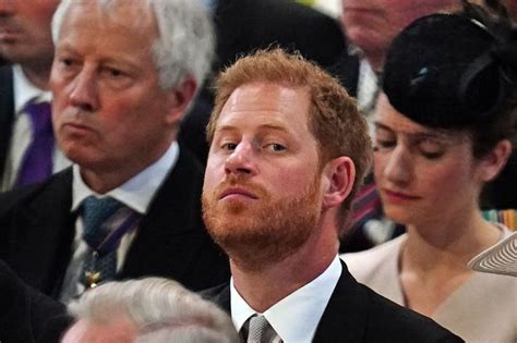 prince harry daily mail